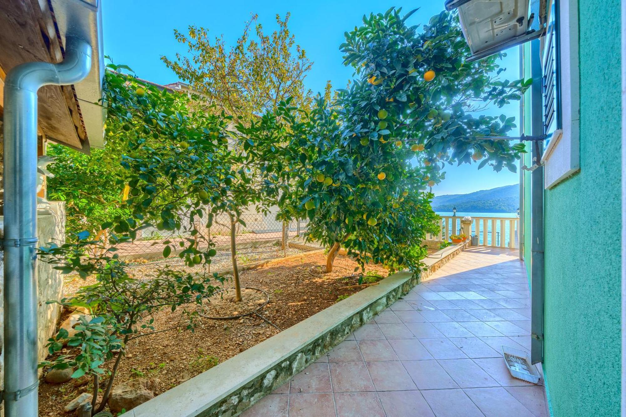 Villa Drago Marina Exterior photo